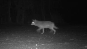 belgaimage-148814866-full