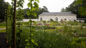 belgaimage-178204662-full