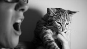 alberto-bigoni-WvujliSJmpk-unsplash