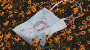 justin-buisson-1RrWo9gsioo-unsplash