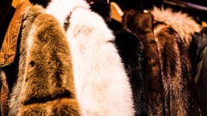 charisse-kenion-Ld9StEc3Fu8-unsplash