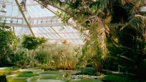 jonas-denil-vHwWmuWgoRw-unsplash