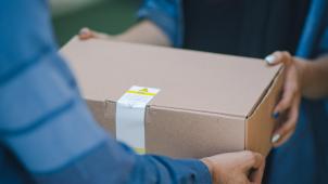 rosebox-BFdSCxmqvYc-unsplash