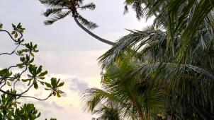 IMG20211011174603 (2)