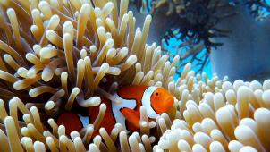 giorgia-doglioni-vZsg8M_lZNY-unsplash