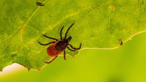 erik-karits-iZR2SI7tcQw-unsplash