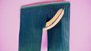 pexels-dainis-graveris-3773668