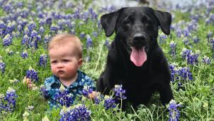 cecily-chenault-aaLtE4ADSp0-unsplash