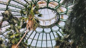 alex-vasey-Vr0VSx36zmc-unsplash