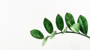 pawel-czerwinski-lWBZ01XRRoI-unsplash