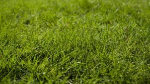 bradley-brister-WdsLOJ5BViU-unsplash