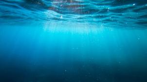 cristian-palmer-XexawgzYOBc-unsplash