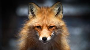 karen-m9oQ1C_--EE-unsplash