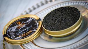 BELGAIMAGE-159064703