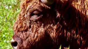 simone-scholten-7IBswqjp4_w-unsplash