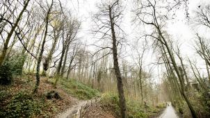 belgaimage-186069593-full