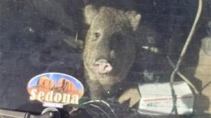 278064296_342998091186561_1742750329486406287_n (1)2