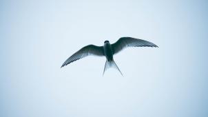 nico-meier-YQowAT4WV5w-unsplash