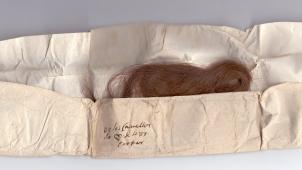 Dag_2_Aartsbisdom Mechelen Brussel_Haarlok