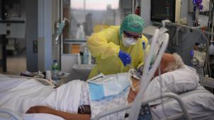 BELGAIMAGE-185754675