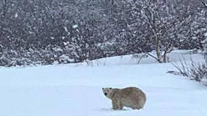 BELGAIMAGE-191029270