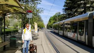 belgaimage-191177955-full