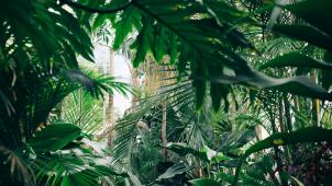 chris-abney-qLW70Aoo8BE-unsplash