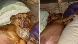 279627417_10158785160071344_5597137175129320789_n