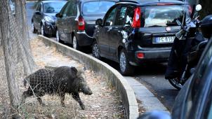 BELGAIMAGE-182154862