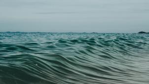 pexels-alice-castro-4665139