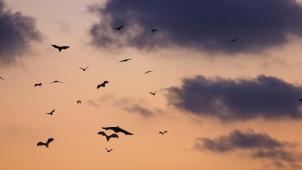 clement-falize-NljTy5Y15JM-unsplash