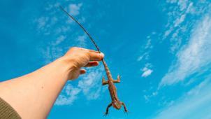 pexels-this-is-zun-1720990