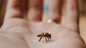 eduardo-gorghetto-1m3QpFT2e2U-unsplash