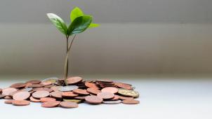 micheile-dot-com-lZ_4nPFKcV8-unsplash