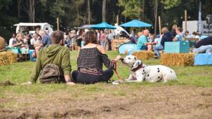 Meet 'n Treat festival 2021 (30)