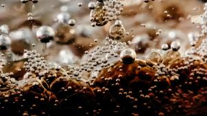 vinicius-amnx-amano-DD2pohulBOE-unsplash