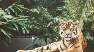 jamar-cromwell-mWjaS6MM41A-unsplash