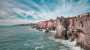 pexels-dhyamis-kleber-3533909