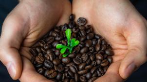 niclas-illg-VsyfRTHAr8o-unsplash