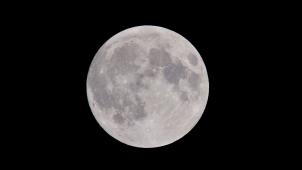 pexels-peter-de-vink-975012