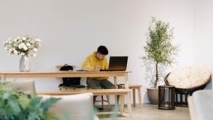 nguyen-dang-hoang-nhu-dYUQI3dM4R4-unsplash