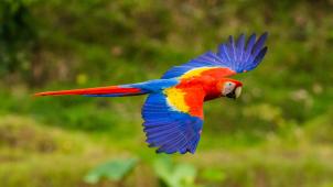 zdenek-machacek-P4n7NQNOmFU-unsplash