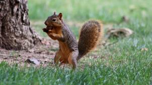 austin-tate-F0AcRs-3DDg-unsplash