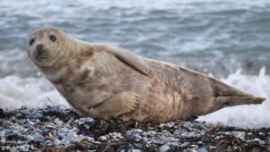 karlheinz_eckhardt-eckhardt-IpMs8teMex0-unsplash