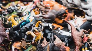 mika-baumeister-mOiR99d4XtQ-unsplash