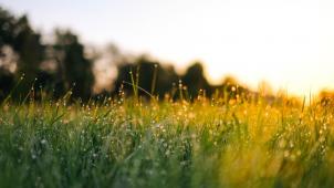 jonas-weckschmied--N_UwPdUs7E-unsplash