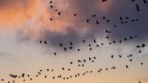 raphael-rychetsky-f8Xv_KfROpo-unsplash