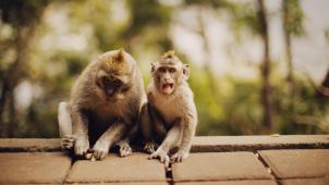 pexels-alexey-demidov-10813708