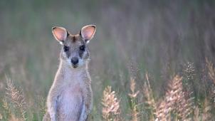 david-clode-ko-v55B2xOw-unsplash