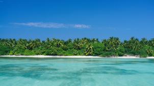 dominik-kiss-QXqaXxUXMKA-unsplash